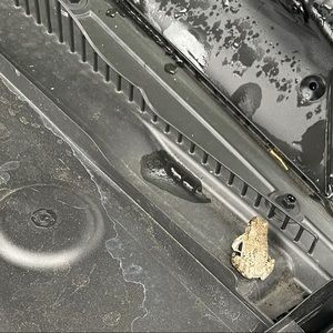 Meet your Posher, Dylan